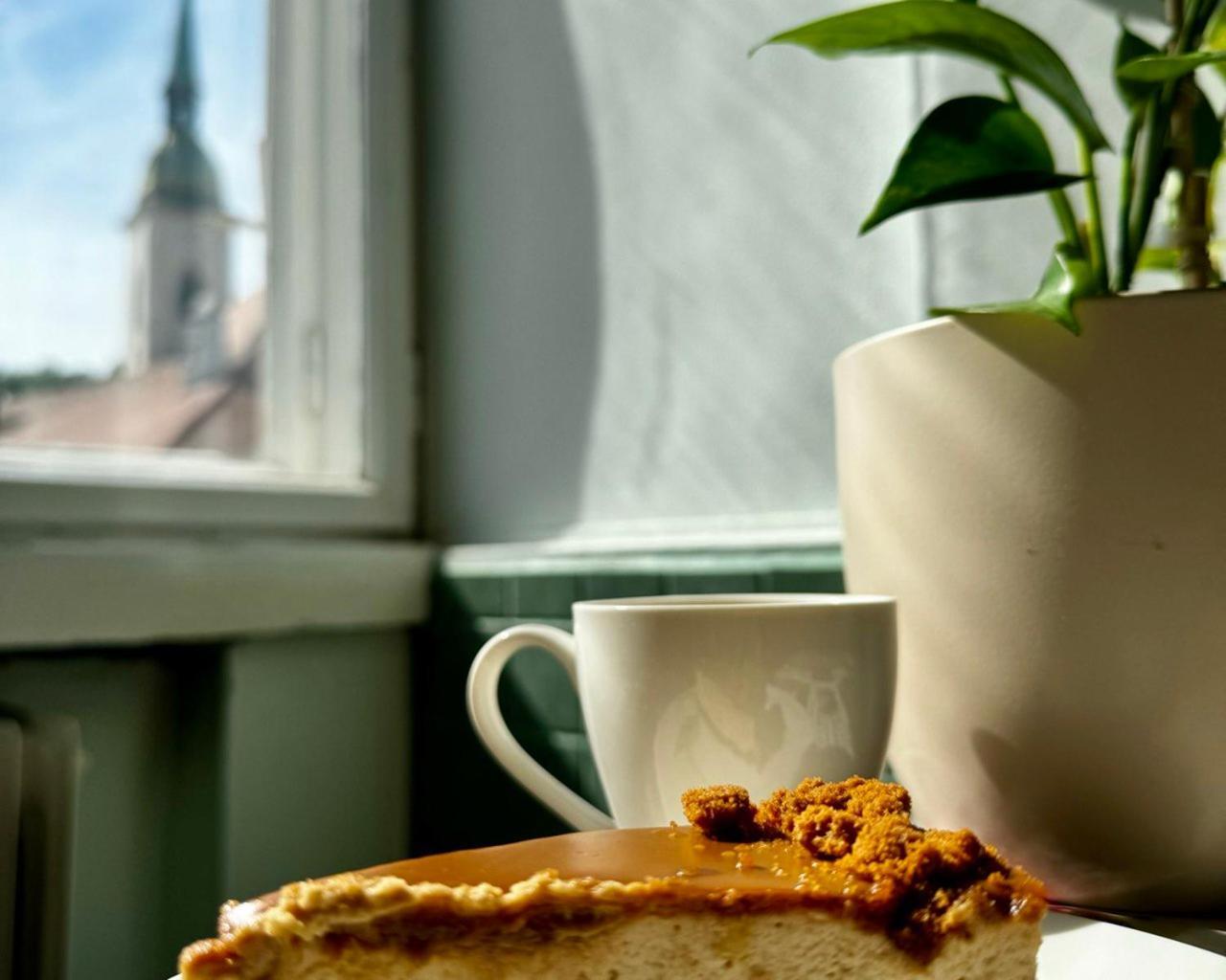 Extralarge Queen Room In The Heart Of Bratislava With Terrace Dış mekan fotoğraf