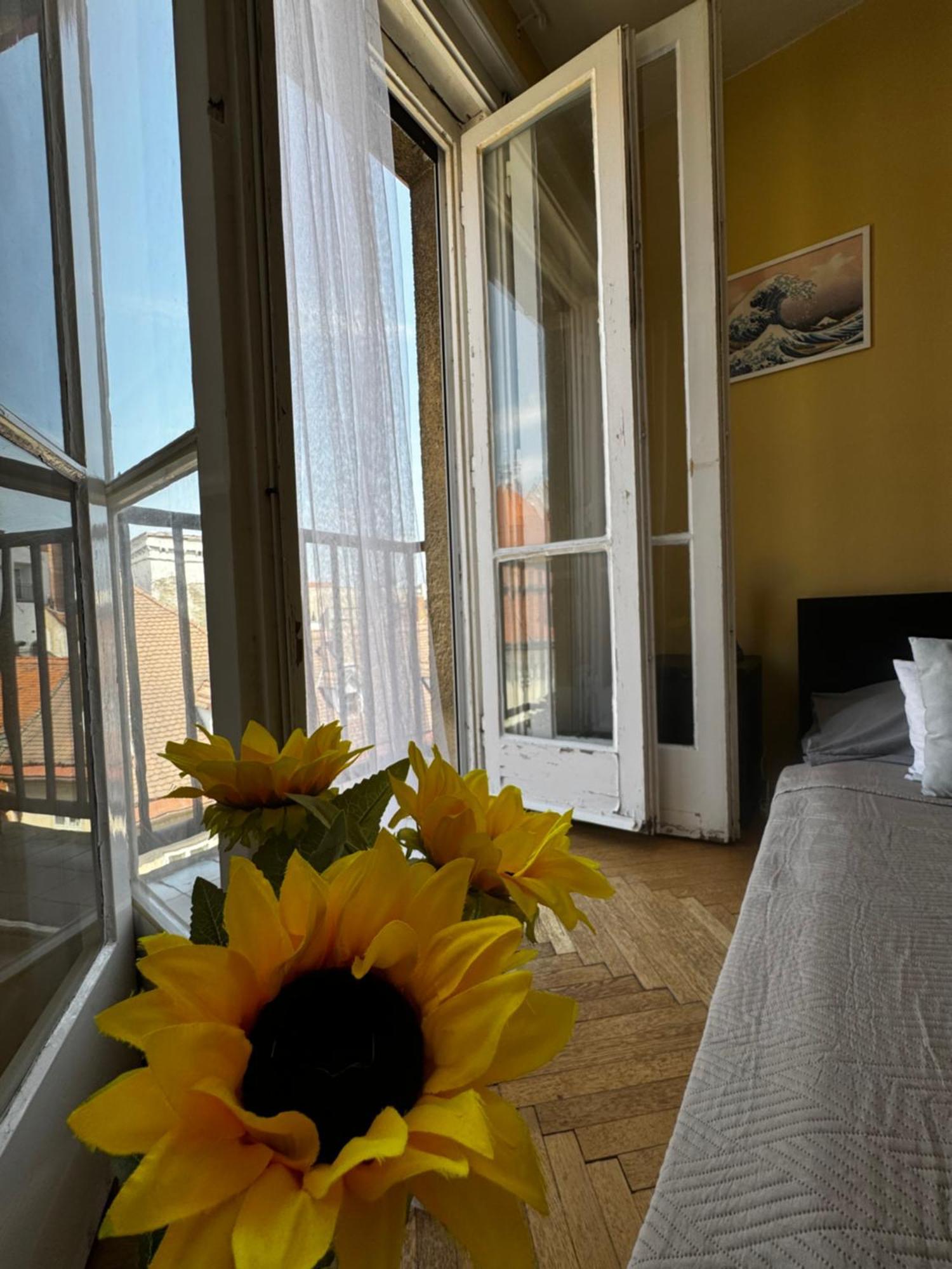 Extralarge Queen Room In The Heart Of Bratislava With Terrace Dış mekan fotoğraf
