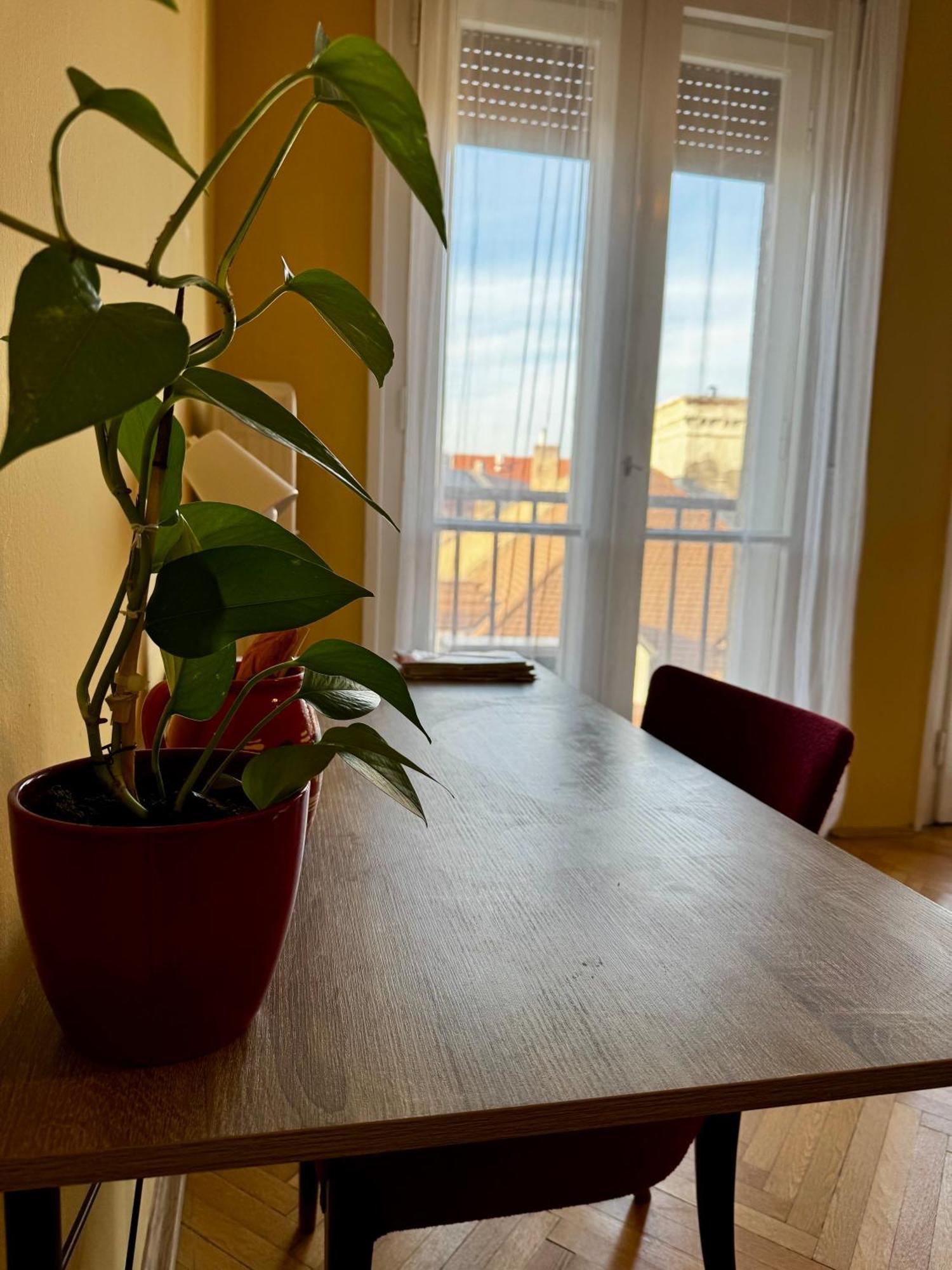 Extralarge Queen Room In The Heart Of Bratislava With Terrace Dış mekan fotoğraf
